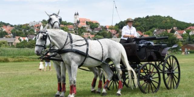 Kettesfogathajtó Verseny