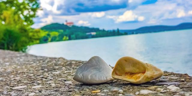 Kecskeköröm Ünnep 2018.