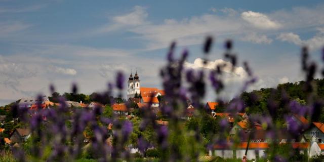 Levendula Fesztivál