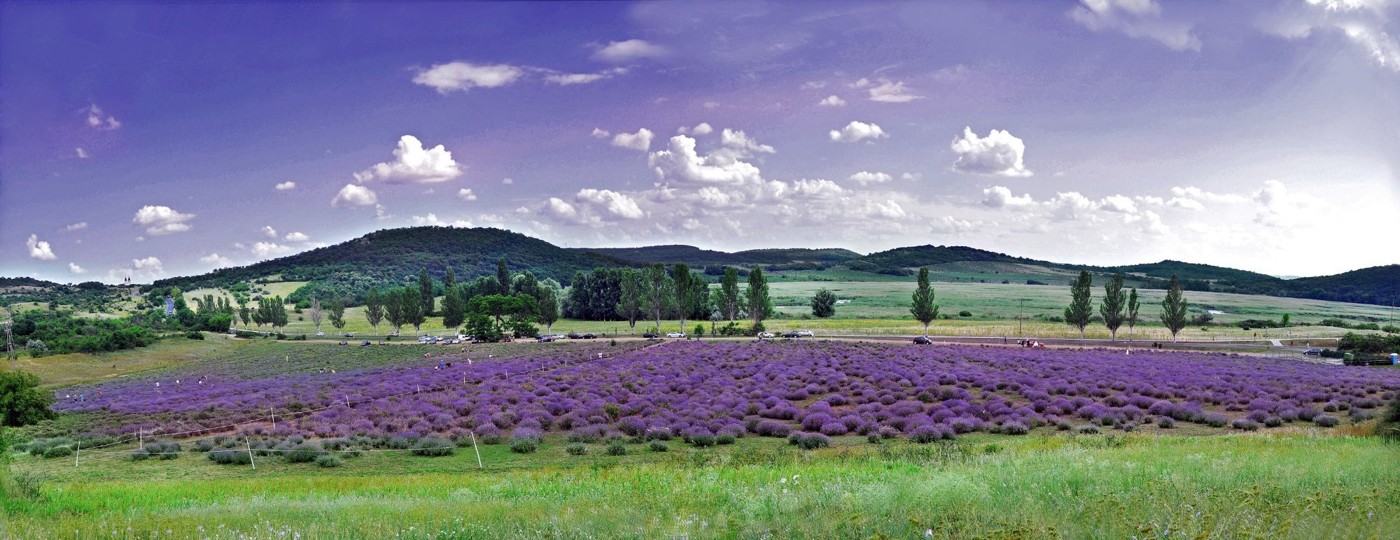 Természet